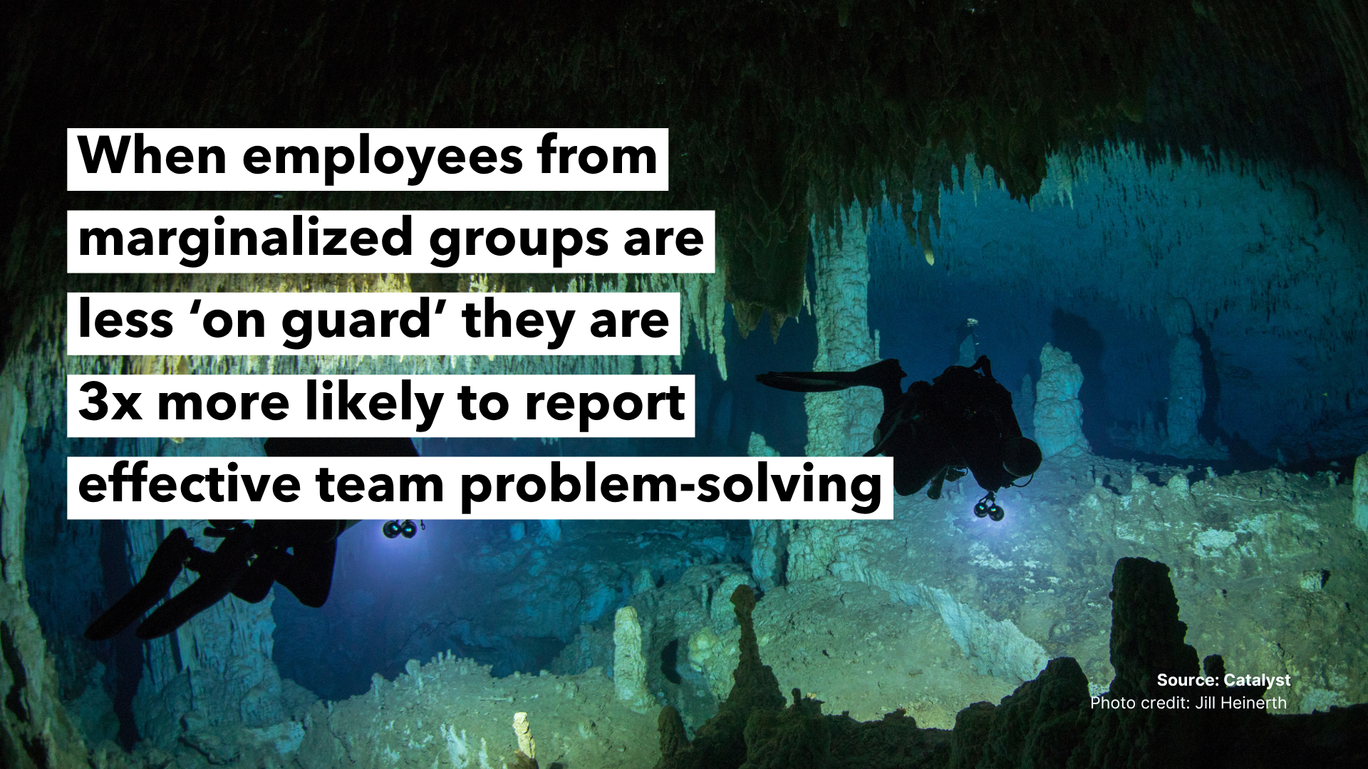 Fieldnotes-Cave Diving-Callout