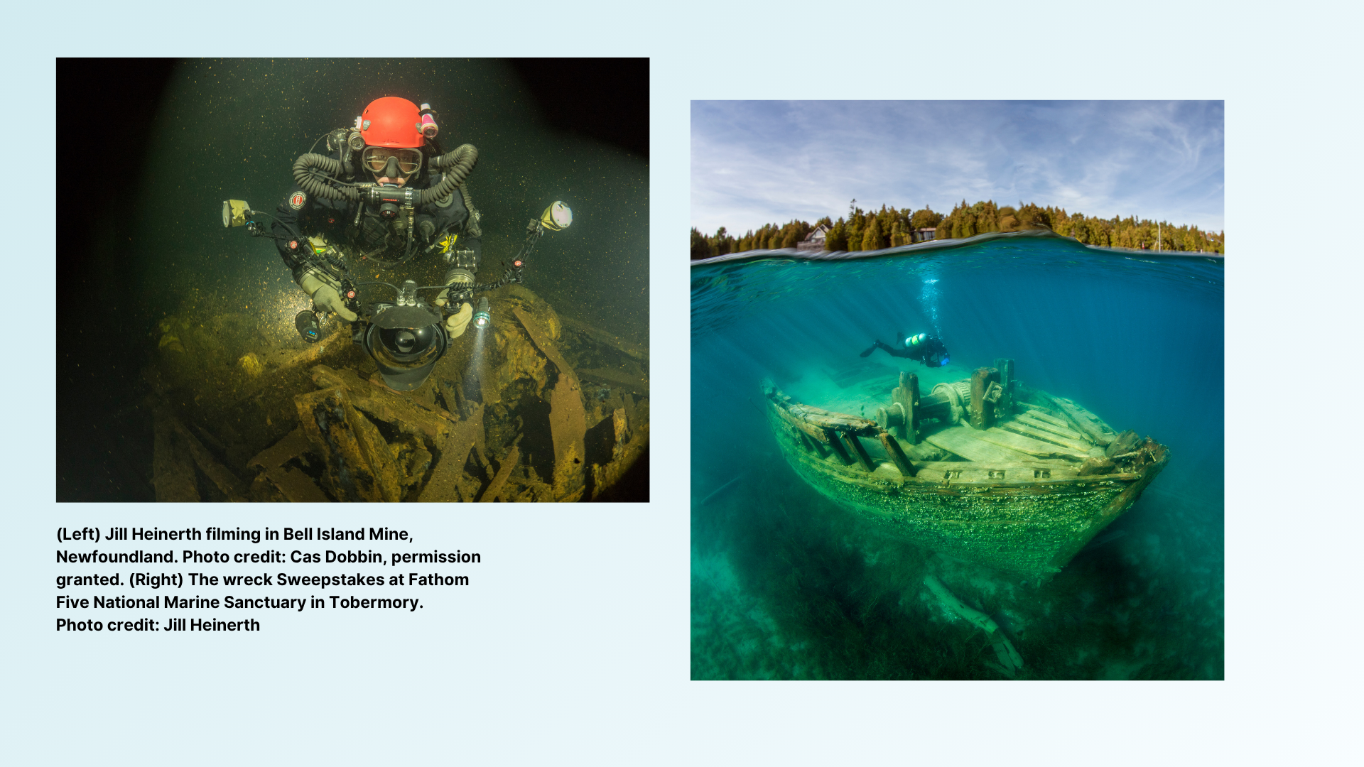 Fieldnotes-Cave Diving